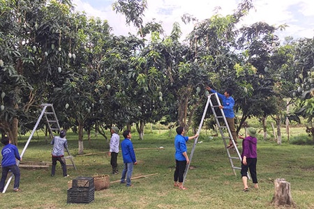 Tín hiệu vui từ thị trường xuất khẩu nông sản an toàn