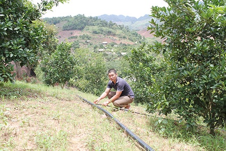 Màu xanh ở Chiềng Xuân
