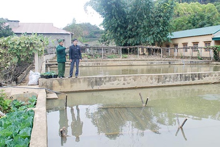 Cựu chiến binh sản xuất, kinh doanh giỏi