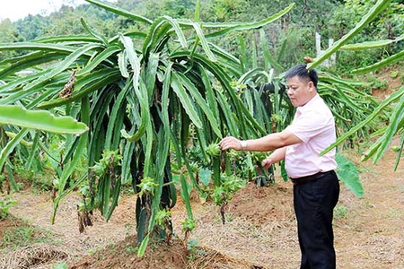 Học và làm theo lời Bác ở Đảng bộ xã Sốp Cộp