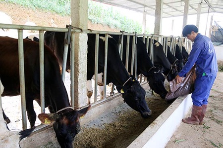 Đẩy mạnh các dịch vụ hỗ trợ nông dân