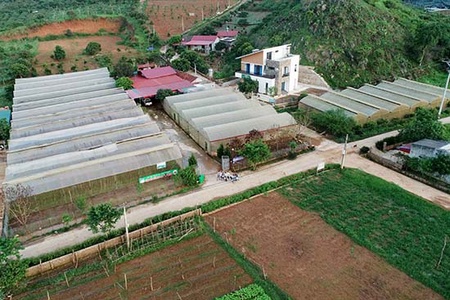 Những mô hình nông nghiệp tiêu biểu ở Mộc Châu