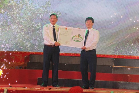 Thương hiệu sơn tra Sơn La  và điểm đến du lịch Bắc Yên