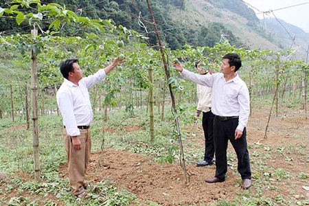 Về Lũng Xá - Tà Dê hôm nay: Kỳ 2: Để Tà Dê vươn mình