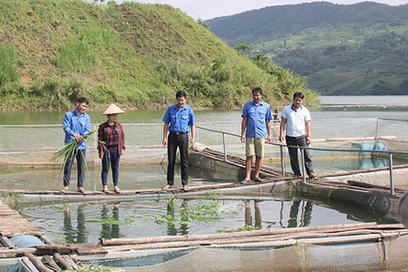 Giám đốc HTX trẻ năng động