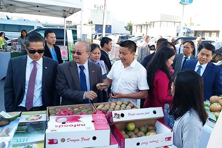 Trồng cây ăn quả trên đất dốc - Hướng đi bền vững của nông nghiệp Sơn La: Kỳ II: Điểm tựa thúc đẩy sản xuất bền vững