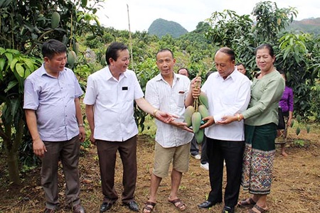 Trồng cây ăn quả trên đất dốc - Hướng đi bền vững của nông nghiệp Sơn La: Kỳ III: Thương hiệu nông sản Sơn La an toàn