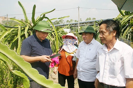 Nông nghiệp hữu cơ - hướng đi bền vững