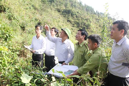 Đồng chí Phó Chủ tịch UBND tỉnh kiểm tra công tác trồng rừng tại Thuận Châu