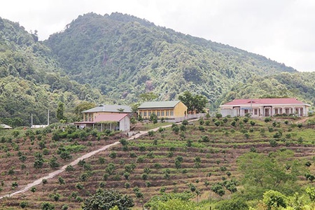 Cuộc sống mới ở bản Dân Quân