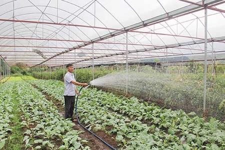 Rau an toàn Ta Niết vào chuỗi liên kết