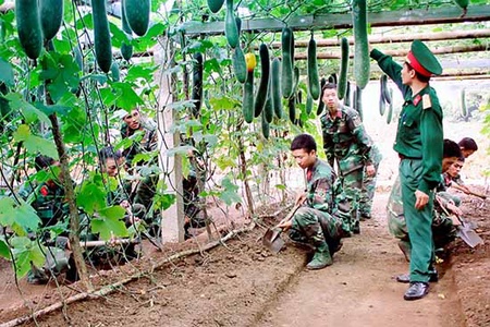 Tăng gia sản xuất, nâng cao đời sống cho bộ đội