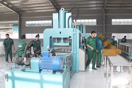 Chế biến thành công mủ cao su Sơn La