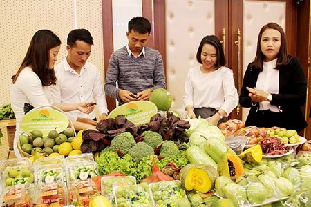 Ứng dụng công nghệ cao tạo sức bật cho nông nghiệp