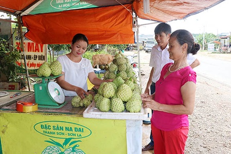 Chủ trương và giải pháp thúc đẩy sản xuất nông nghiệp