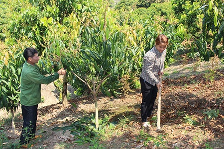 Đồng hành với phụ nữ trong phát triển kinh tế