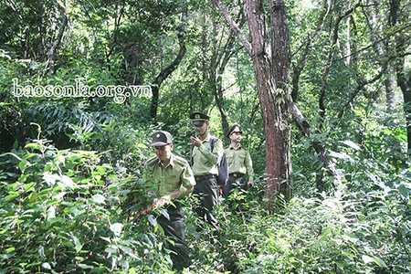 Tập trung làm tốt công tác bảo tồn đa dạng sinh học