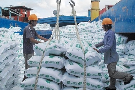 Khẩn trương có biện pháp cho thông quan ngay đối với các lô hàng gạo xuất khẩu
