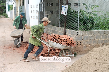 Phòng tránh say nắng, say nóng               