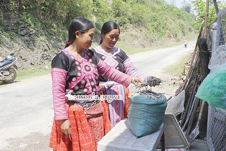 Cá tép dầu khô vùng lòng hồ huyện Phù Yên      