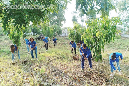 Tuổi trẻ Sông Mã xung kích xây dựng nông thôn mới