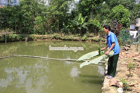 Phong trào thi đua “Tuổi cao - gương sáng”         