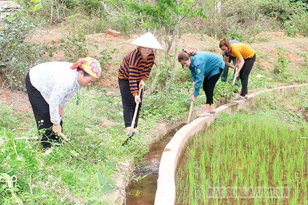 Khai thác hiệu quả công trình thủy lợi phục vụ tưới tiêu