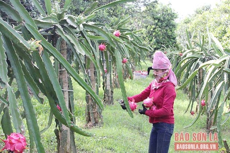 Tự hào là địa phương đón Bác Hồ về thăm