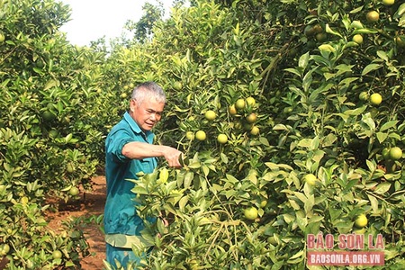 Hiến kế, hiến công vì quê hương