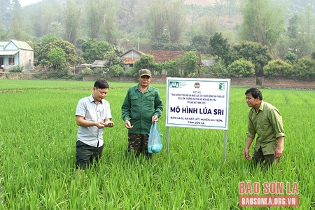 Đồng hành cùng nông dân trong sản xuất và đời sống