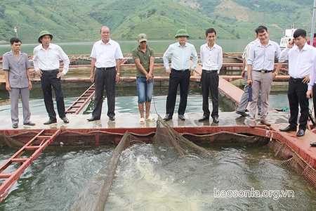 Tăng cường kiểm tra, giám sát, góp phần nâng cao năng lực lãnh đạo và sức chiến đấu