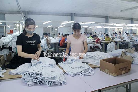 Hiệu quả thực hiện khâu đột phá phát triển nguồn nhân lực