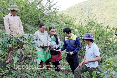 Phòng, tránh tồn dư thuốc bảo vệ thực vật trong thực phẩm