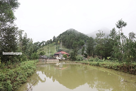 “Đuốc sáng” vùng cao Long Hẹ