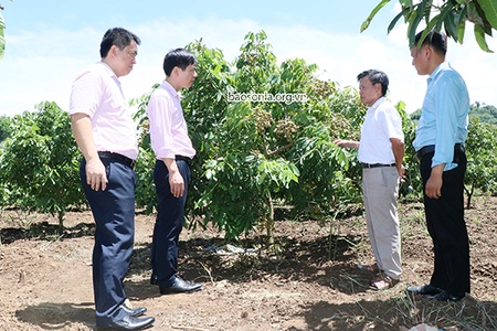 Hiệu quả các chương trình tín dụng chính sách