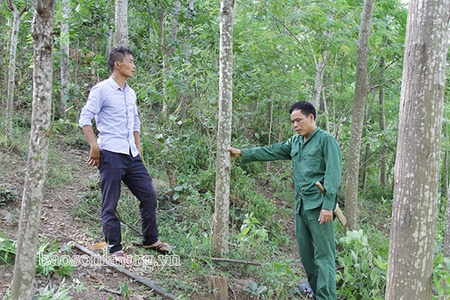 Nâng cao vai trò quản lý nhà nước về hoạt động ứng phó với biến đổi khí hậu