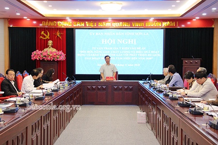 Hội nghị tư vấn tham gia ý kiến vào đề án “Đổi mới, nâng cao chất lượng và hiệu quả hoạt động của Bảo tàng tỉnh gắn với phát triển du lịch”