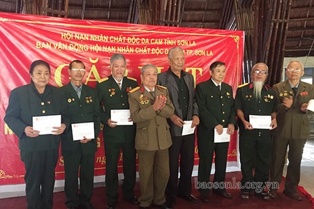 Chung tay chăm sóc nạn nhân chất độc da cam/dioxin