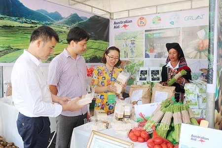 Tập trung đẩy mạnh công nghiệp hóa nông nghiệp, hiện đại hóa nông thôn