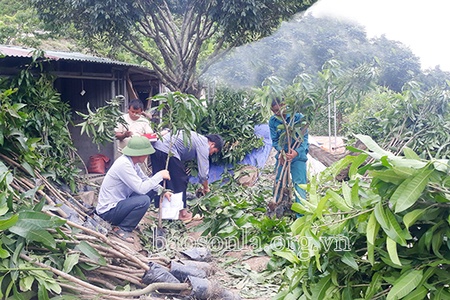 Hiệu quả công tác dân vận ở vùng đồng bào dân tộc thiểu số