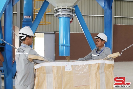 Tạ ók vịa dệt, mi tứm hịp thù haử 20.178 côn