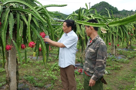 Mai Sơn khày quảng tà đìn púk cò kìn mák