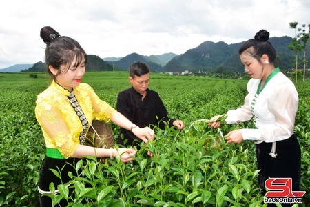 Sâu txuôk nzir jax đaz nênhs thax tsav huôv tsar kôngz txir nox jông tâu công nhav OCOP