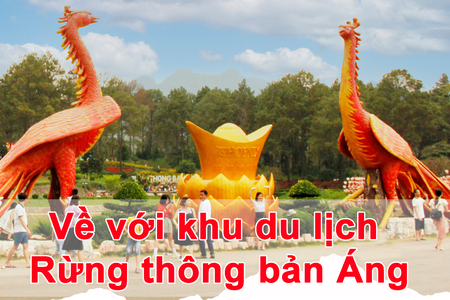 Về với khu du lịch Rừng thông bản Áng
