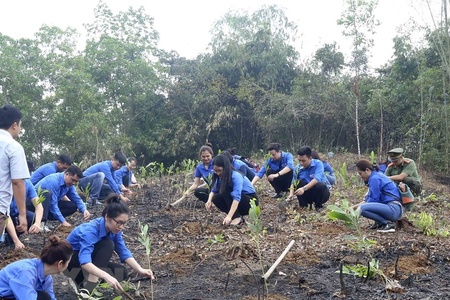 Quy chụp hiện tượng thành bản chất - chiêu trò nham hiểm nhằm hạ bệ vai trò của tuổi trẻ: Nhận diện sự thật