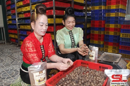 Truy xuất nguồn gốc hàng hóa - Chìa khóa tạo dựng niềm tin