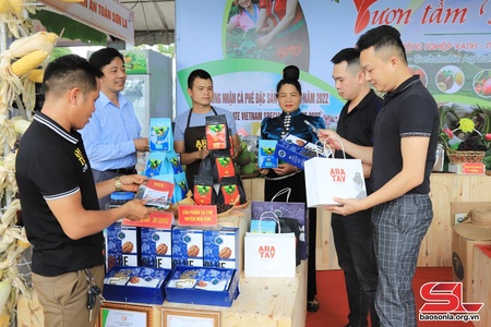 Kết nối, quảng bá, xúc tiến tiêu thụ và xuất khẩu nông sản