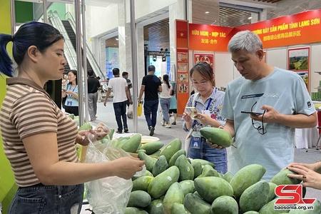 Xúc tiến thương mại mở rộng đầu ra cho nông sản