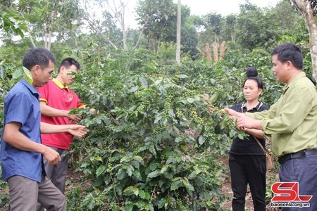 Thực hiện khâu đột phá trong phát triển kinh tế