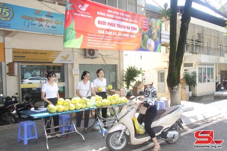 Bưu điện Thành phố Sơn La hỗ trợ tiêu thụ 3 tấn bưởi Phúc Trạch